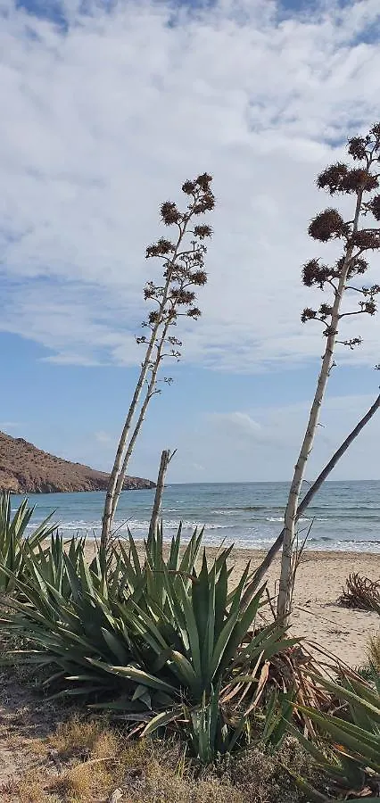 Vila Cresta Azul Antas